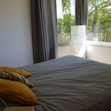 Hamerenne ロシュフォール